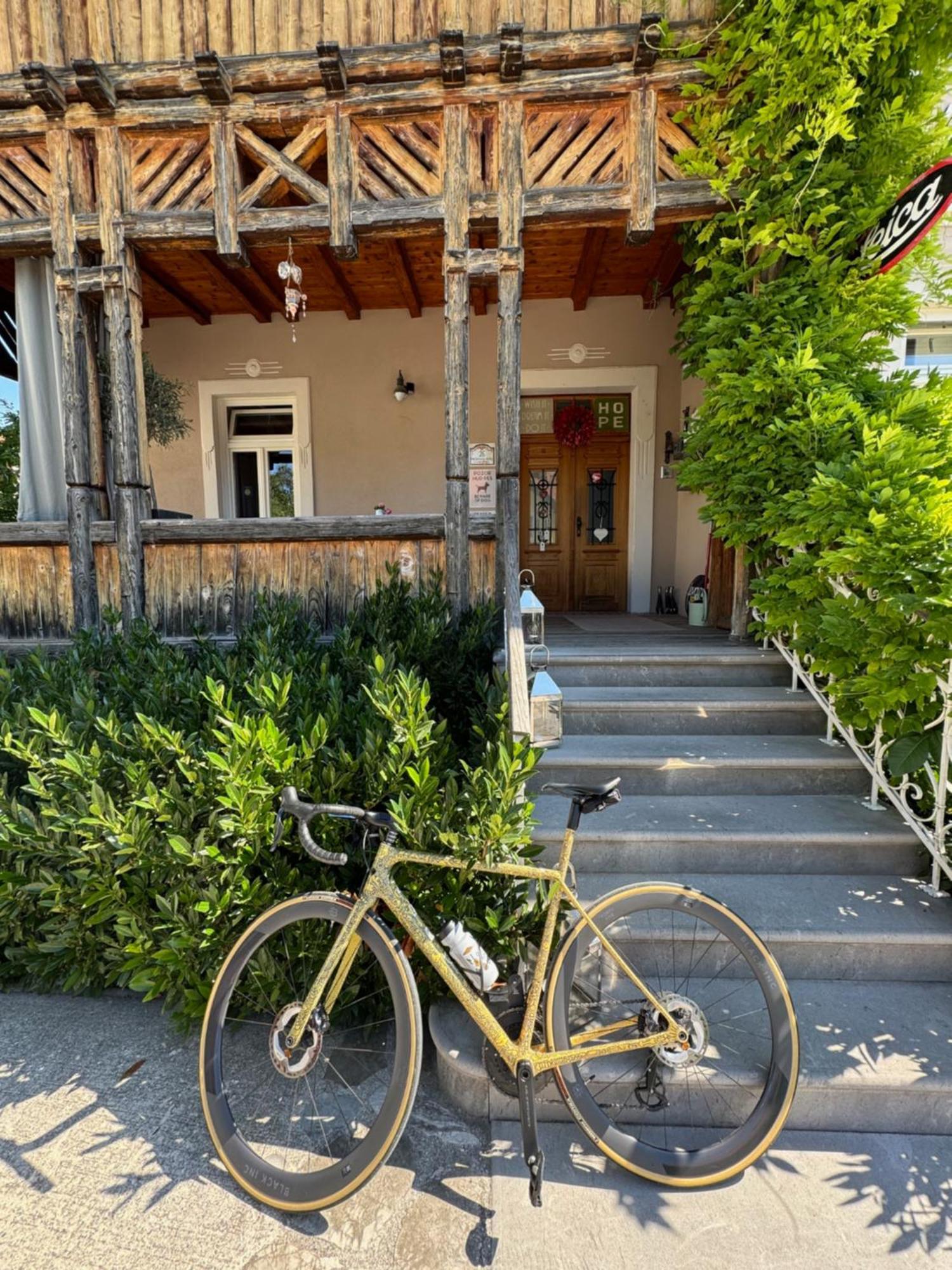 Vila Alice Bled - Adults Only Exterior photo